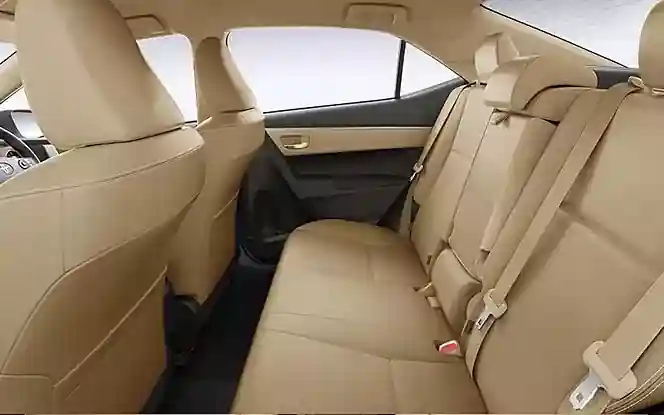 Spacious beige backseat of a car with two headrests and seatbelts, featuring a clean and minimalist design.